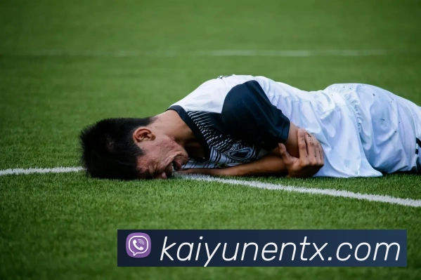 开云平台展示图